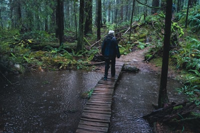 Guided nature or history walks
