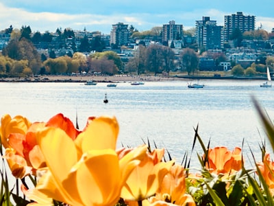 Photograph seasonal floral displays and landscapes