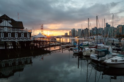 Visit at quieter times for calmer photos