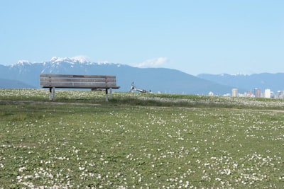 Picnicking on the sand