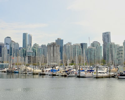 Relax in marina-side parklets