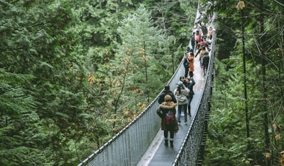 Join a guided history or nature walk