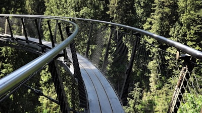 Cross the Capilano Suspension Bridge