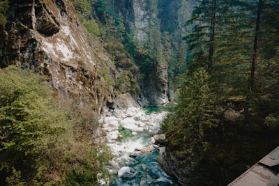 Photography of canyon, river and forest views
