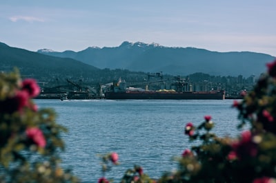Watch seaplanes and cruise ships in the harbour