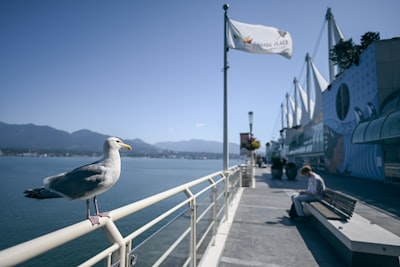 See wildlife and interpretive exhibits