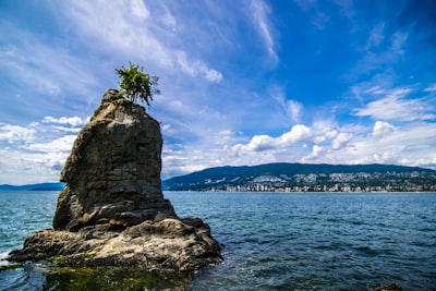 Enjoy architecture and site views overlooking the ocean