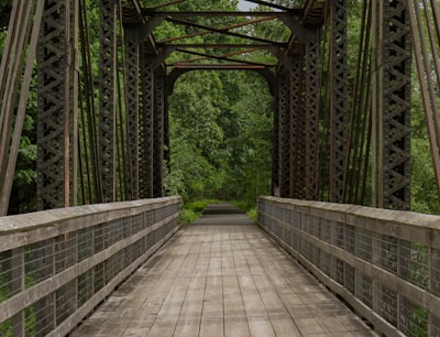 Crossing and photographing the suspension bridge