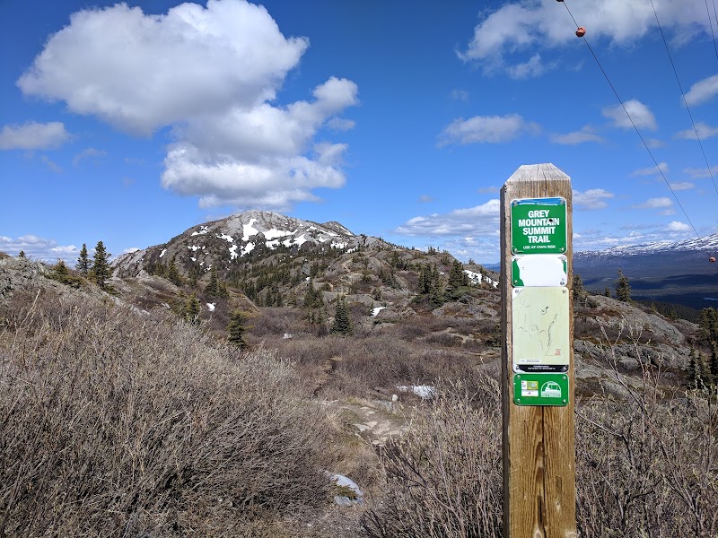 Grey Mountain Summit Trail