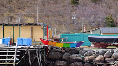 Bird and boat watching