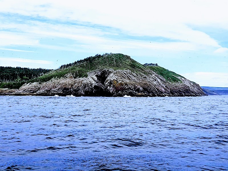 Witless Bay Islands Park Reserve