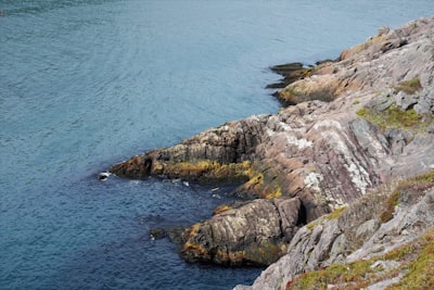 See fossils and geologic timelines