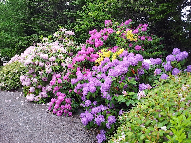 Memorial University Botanical Garden