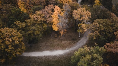 Scenic drives and fall foliage viewing
