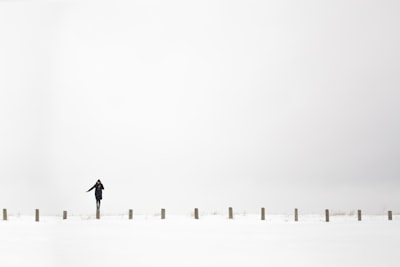 Photography and birdwatching