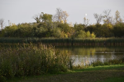 Trail hiking and birdwatching