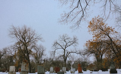 Walk the ornamental grounds and memorials