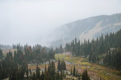 Summer alpine hiking