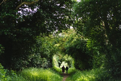 Nature walks