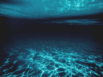 4D underwater experience