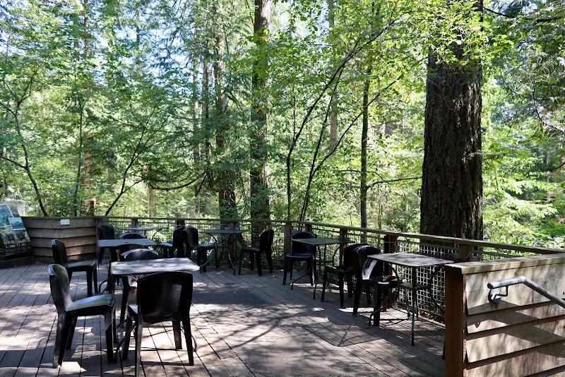 Lynn Canyon Cafe