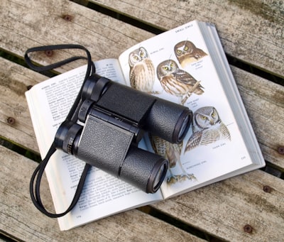 Birdwatching and wildlife spotting