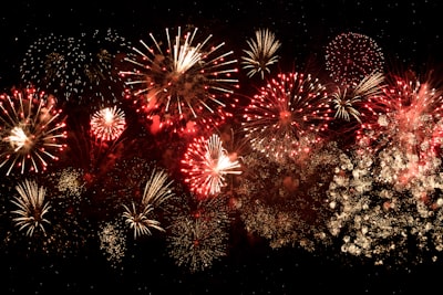 Attending Celebration of Light fireworks