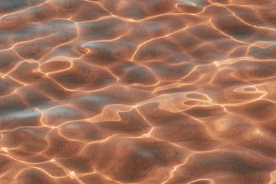 Swimming