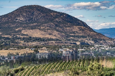 Visiting breweries and wineries