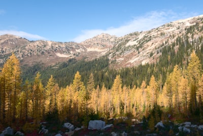 Guided nature tours
