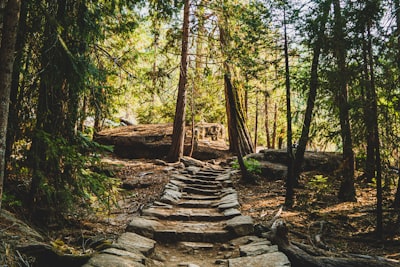 Hiking scenic trails