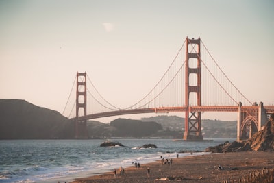 Walking suspension bridges