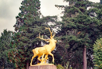 Browsing park exhibits
