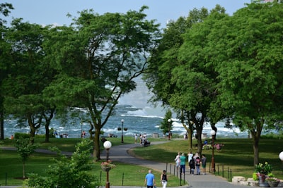 Walking the Niagara Parkway