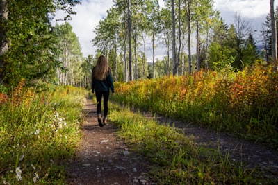 Walking through butterfly habitat