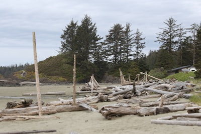 Sandcastle building