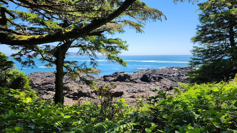 Wild Pacific Trail