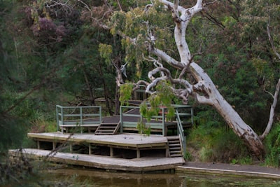 Walk waterfront and forested trails