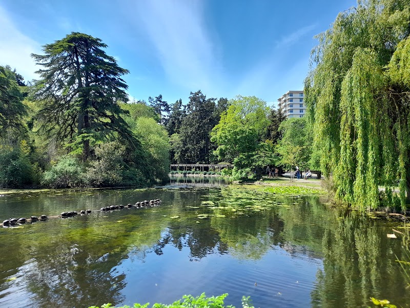 Beacon Hill Park