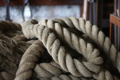 Attend hands-on rope-tying and family activities