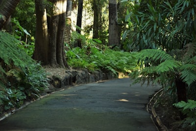 Walk formal gardens and forest trails