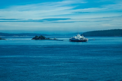 Watch ships, ferries and occasional marine mammals