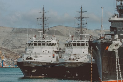 Watch ships, seals and marine life