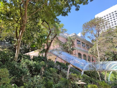 Walk through the butterfly conservatory