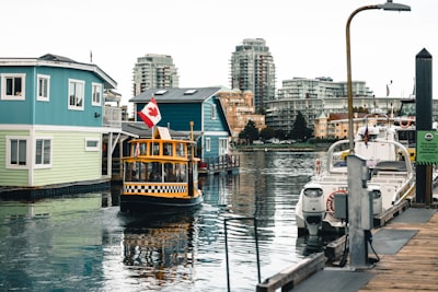 Watch seals and small boats