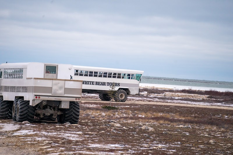 Great White Bear Tours Launch Site
