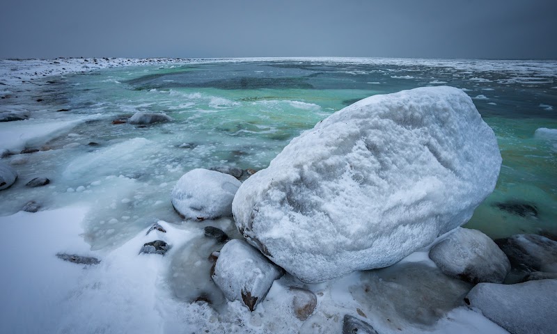 Polar Bear Town | Kelsey Eliasson