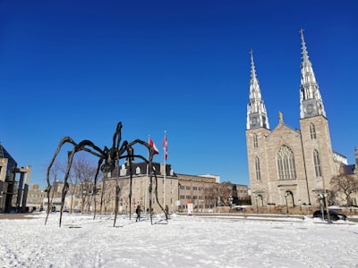 Indigenous art exhibitions