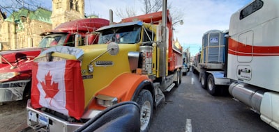 Viewing military vehicle collection