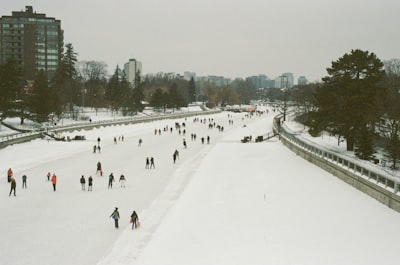 Cross-country skiing in winter